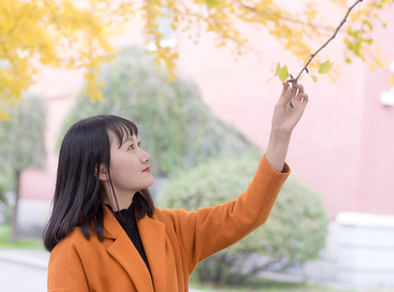 菲律宾使馆 大使馆可以办理什么业务